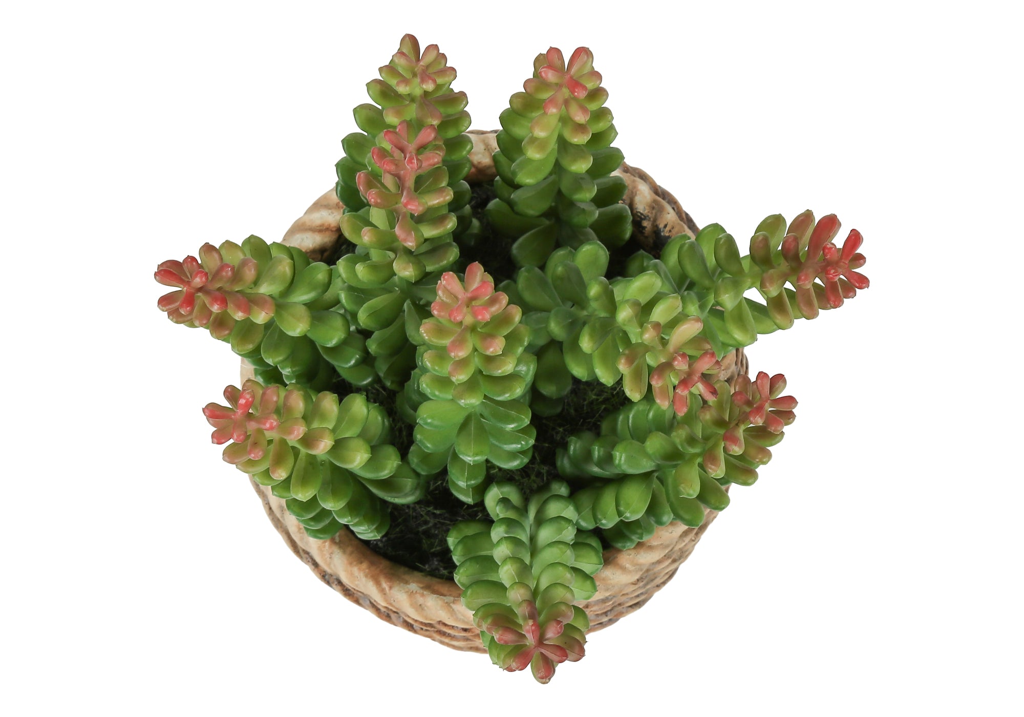 MN-979367    Artificial Plant, Set Of 2, 7" Tall, Succulent, Table, Brown Cement Pots, Contemporary, Modern