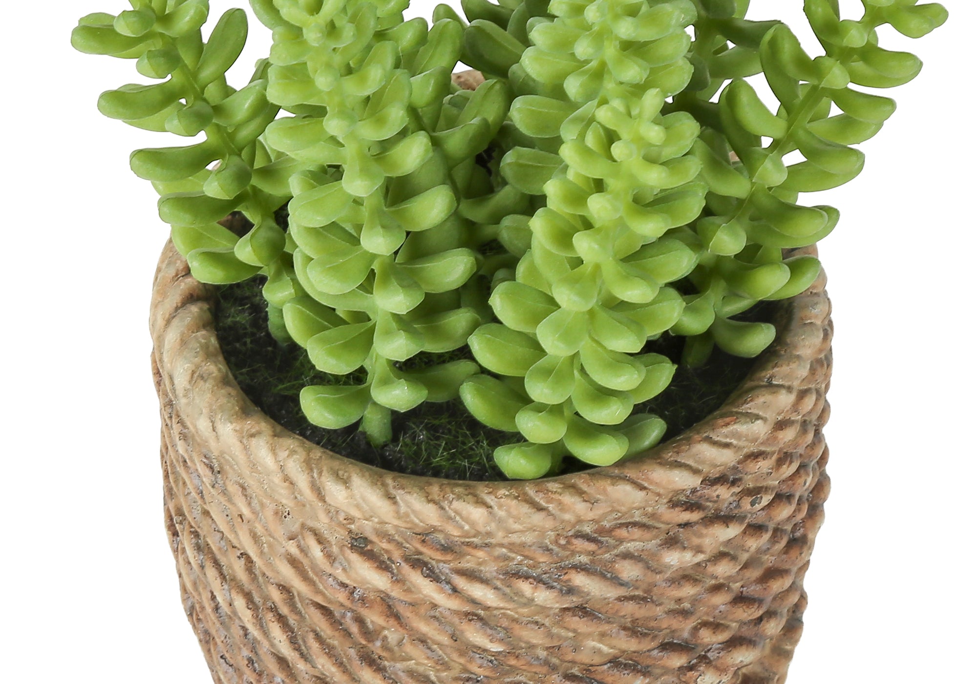 MN-979367    Artificial Plant, Set Of 2, 7" Tall, Succulent, Table, Brown Cement Pots, Contemporary, Modern
