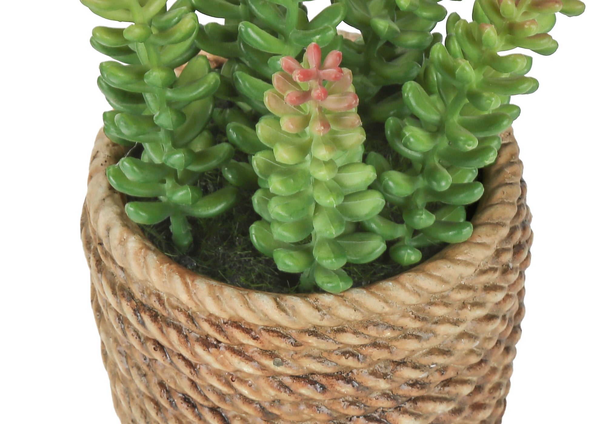 MN-979367    Artificial Plant, Set Of 2, 7" Tall, Succulent, Table, Brown Cement Pots, Contemporary, Modern