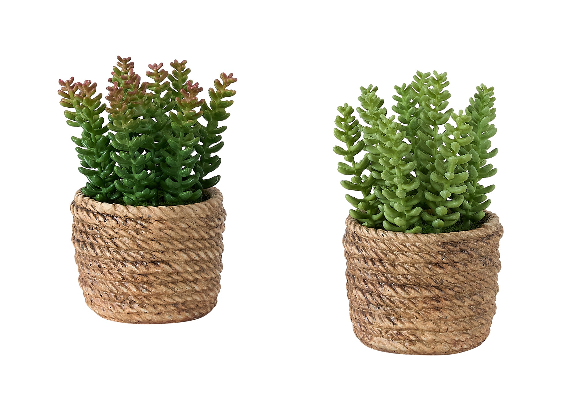 MN-979367    Artificial Plant, Set Of 2, 7" Tall, Succulent, Table, Brown Cement Pots, Contemporary, Modern