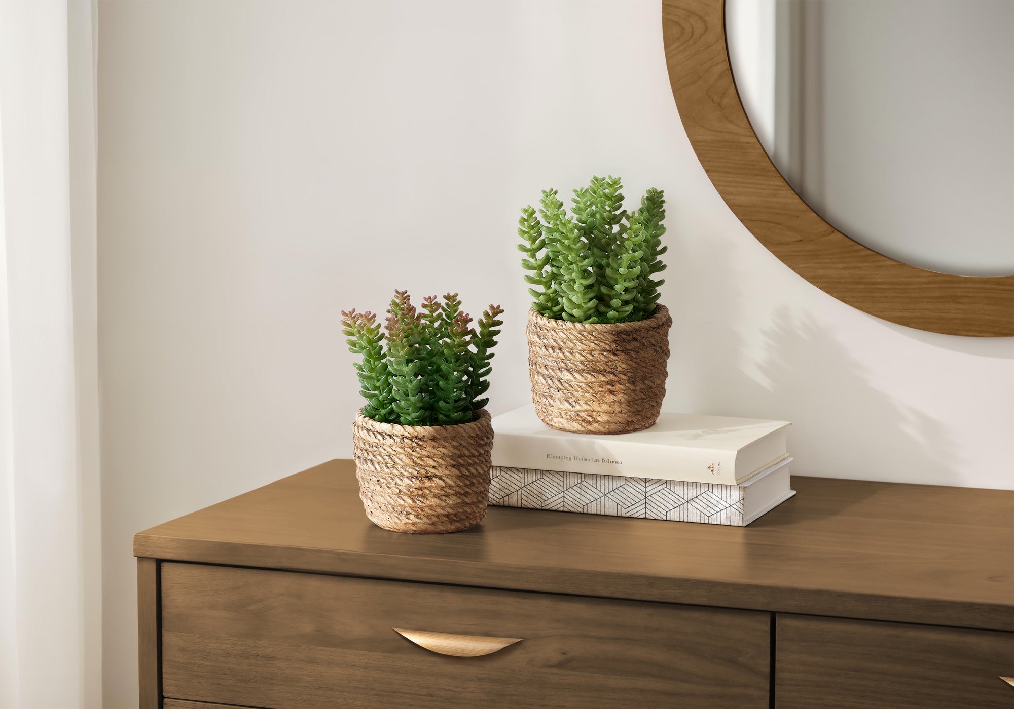 MN-979367    Artificial Plant, Set Of 2, 7" Tall, Succulent, Table, Brown Cement Pots, Contemporary, Modern
