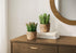 MN-979367    Artificial Plant, Set Of 2, 7" Tall, Succulent, Table, Brown Cement Pots, Contemporary, Modern