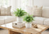 MN-G989368    Artificial Plant, Set Of 2, 16" Tall, Eucalyptus Grass, Table, White Pots, Contemporary, Modern