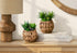 MN-F999369    Artificial Plant, Set Of 2, 9" Tall, Succulent, Table, Brown Woven Basket, Contemporary, Modern