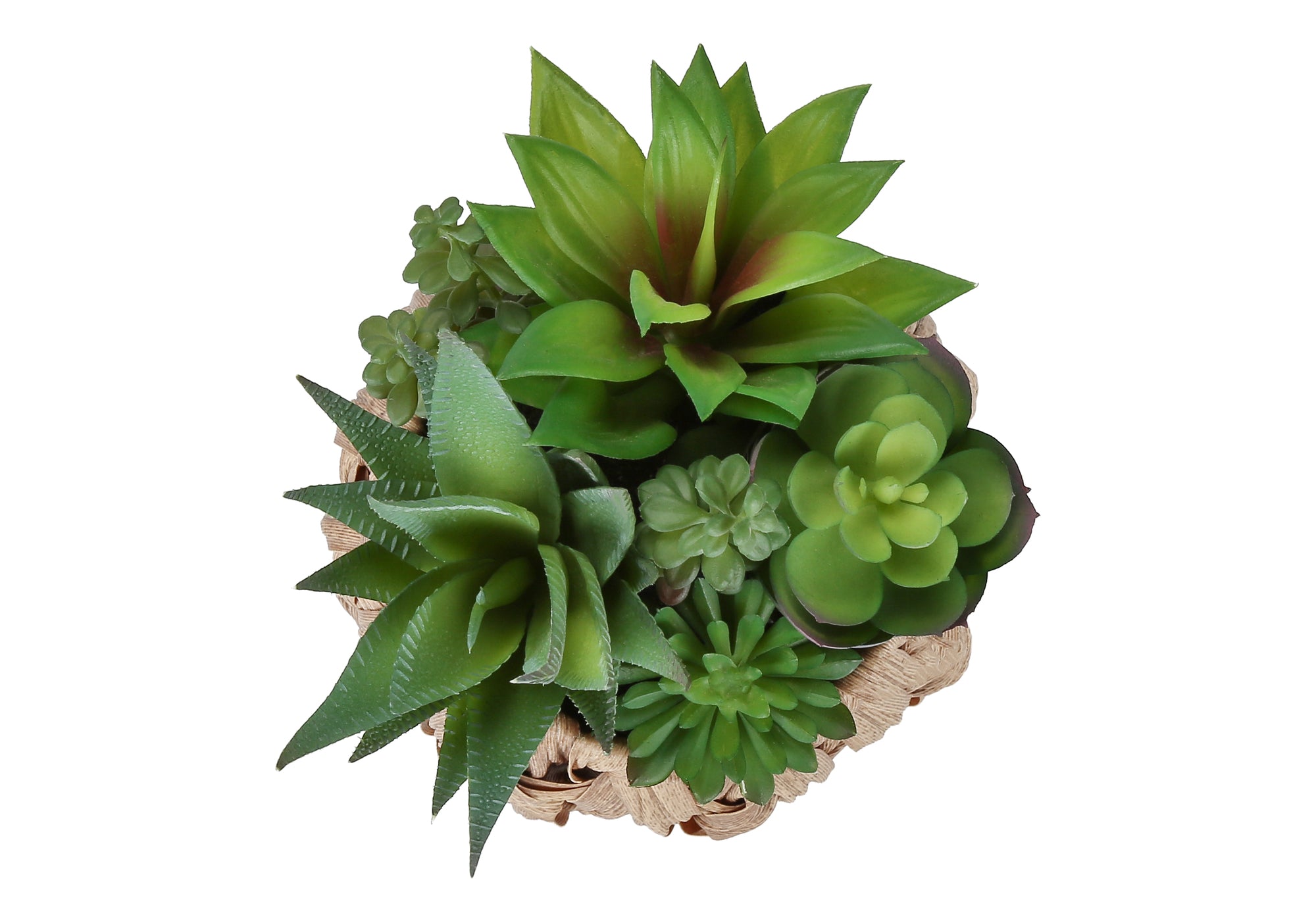 MN-F999369    Artificial Plant, Set Of 2, 9" Tall, Succulent, Table, Brown Woven Basket, Contemporary, Modern