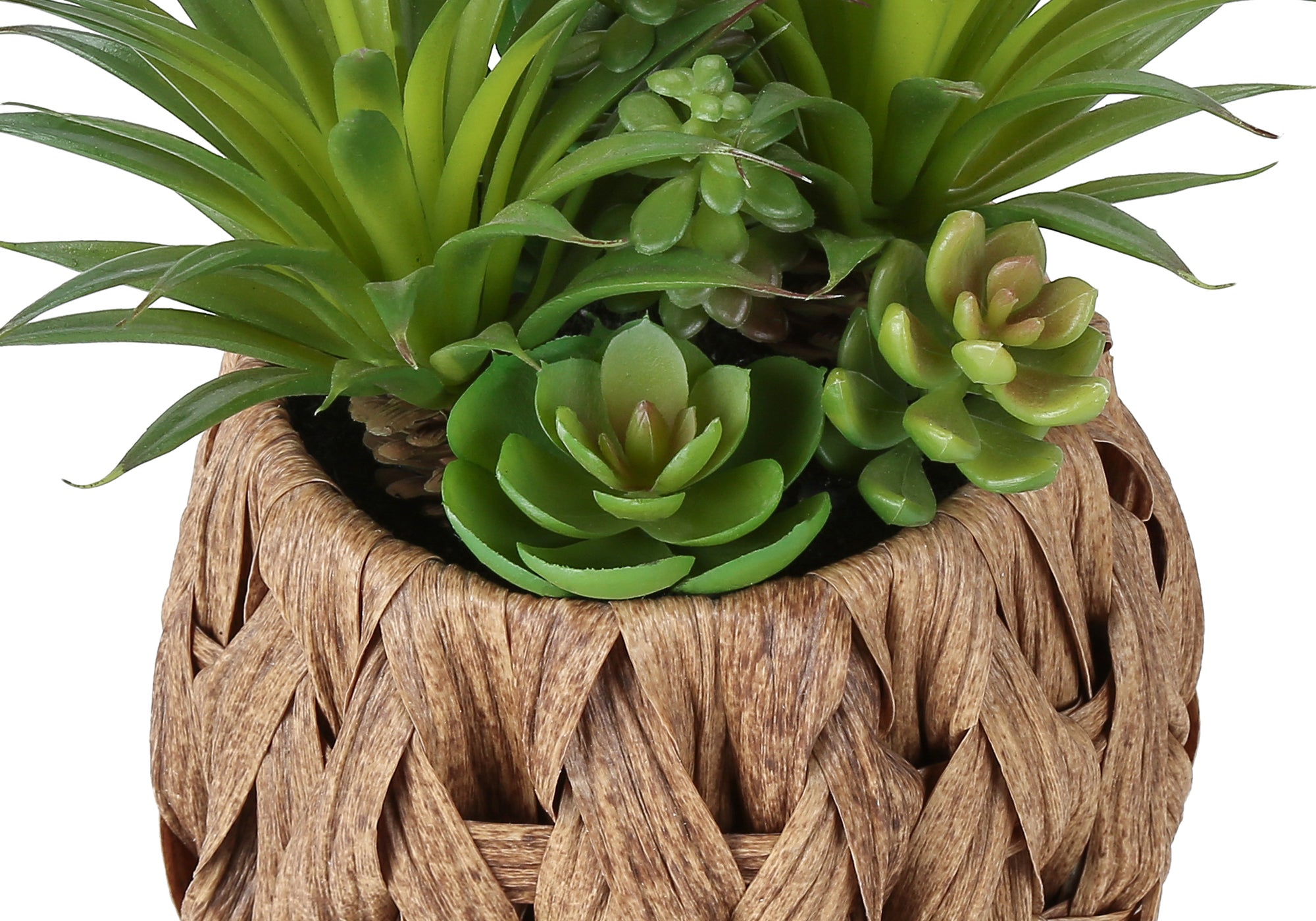 MN-F999369    Artificial Plant, Set Of 2, 9" Tall, Succulent, Table, Brown Woven Basket, Contemporary, Modern