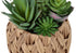 MN-F999369    Artificial Plant, Set Of 2, 9" Tall, Succulent, Table, Brown Woven Basket, Contemporary, Modern