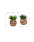 MN-F999369    Artificial Plant, Set Of 2, 9" Tall, Succulent, Table, Brown Woven Basket, Contemporary, Modern