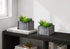 MN-F109370    Artificial Plant, Set Of 2, 8" Tall, Succulent, Table, Grey Wooden Pots, Contemporary, Modern