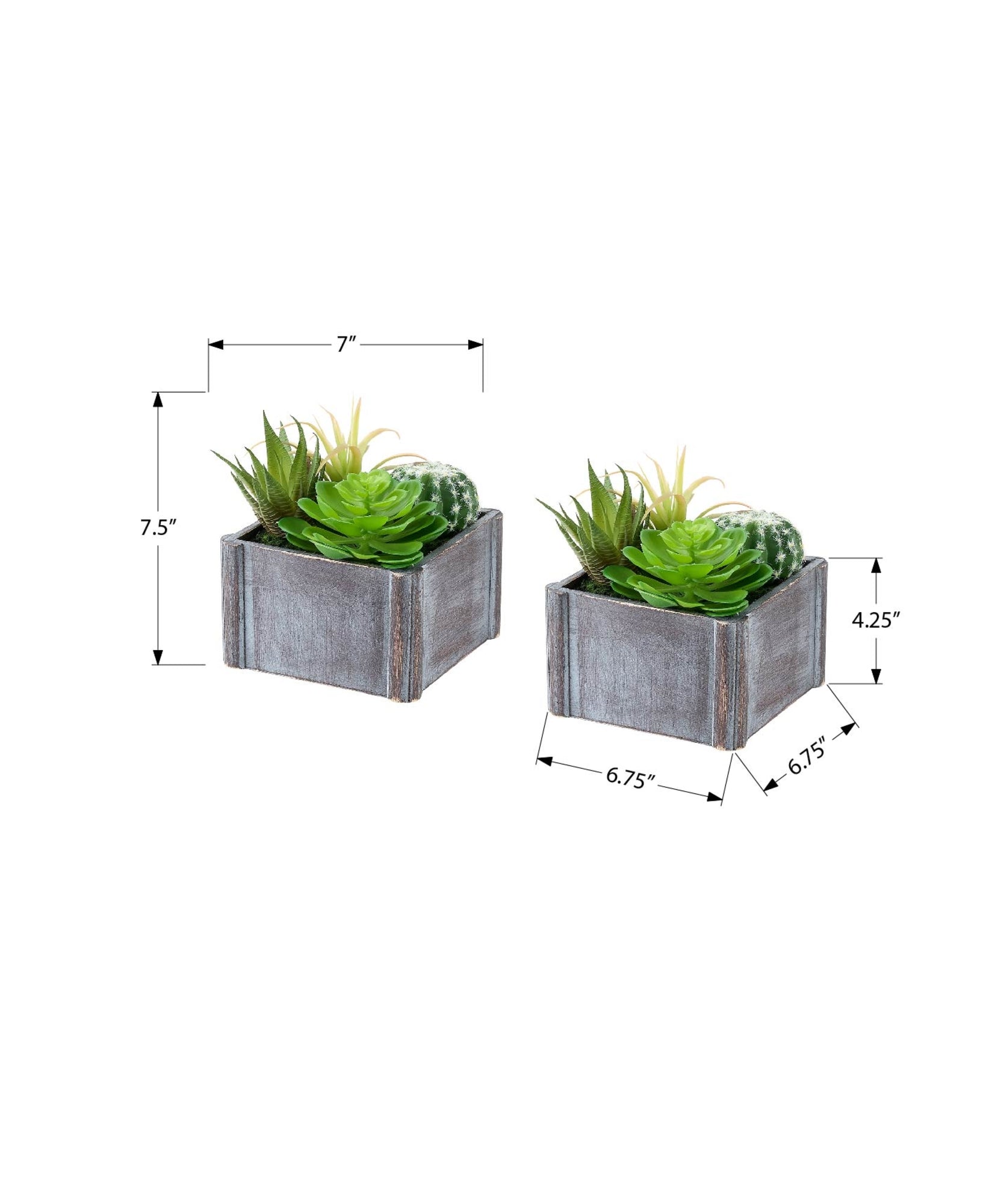 MN-F109370    Artificial Plant, Set Of 2, 8" Tall, Succulent, Table, Grey Wooden Pots, Contemporary, Modern