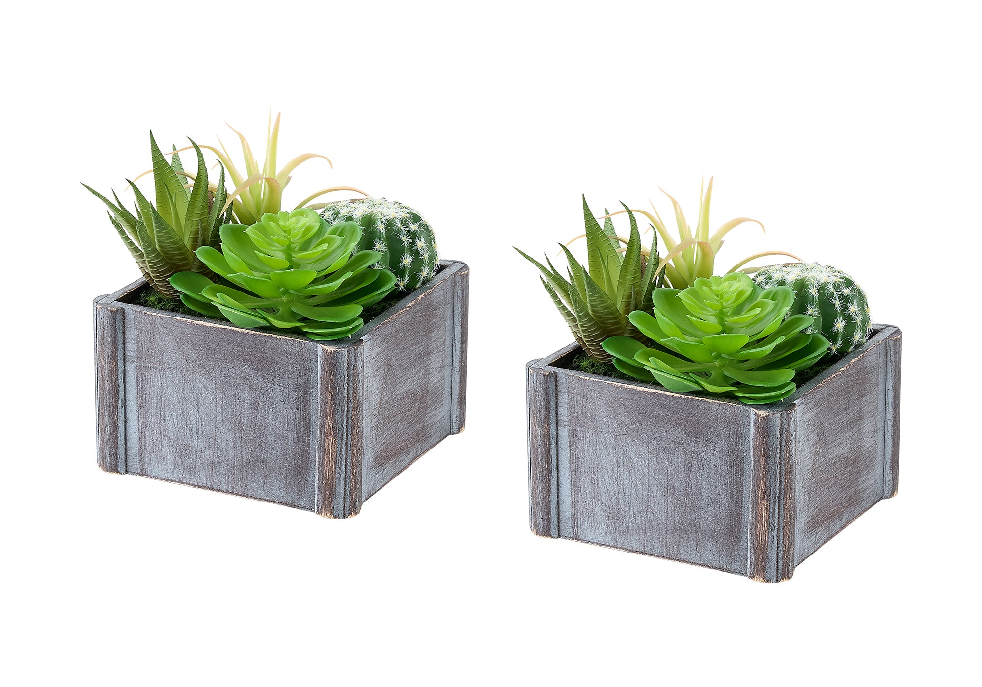 MN-F109370    Artificial Plant, Set Of 2, 8" Tall, Succulent, Table, Grey Wooden Pots, Contemporary, Modern