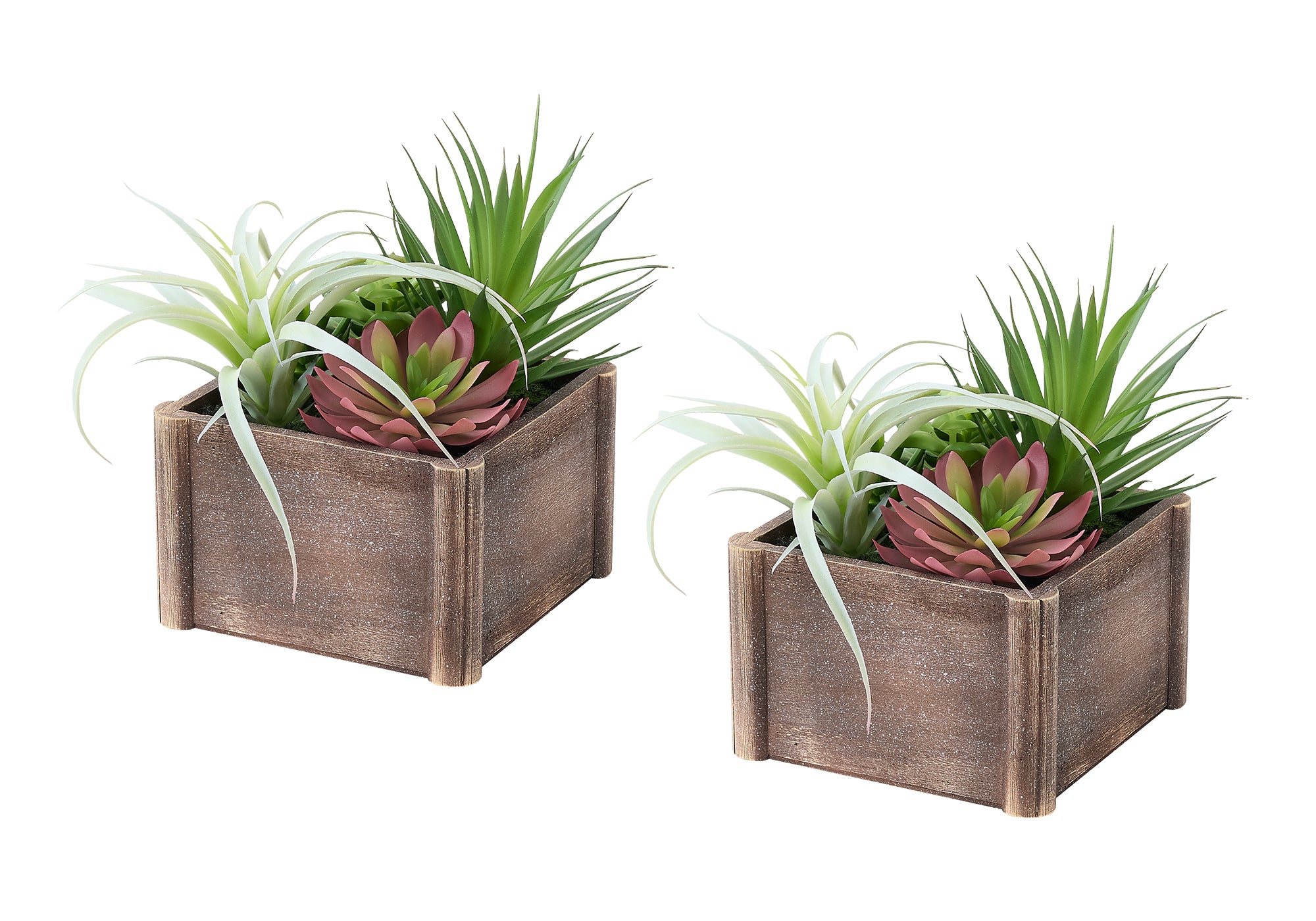 MN-119371    Artificial Plant, Set Of 2, 10" Tall, Succulent, Table, Brown Wooden Pots, Contemporary, Modern