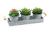 MN-D129372    Artificial Plant, Set Of 3, 6" Tall, Succulent, Table, Silver Metal Pots, Contemporary, Modern