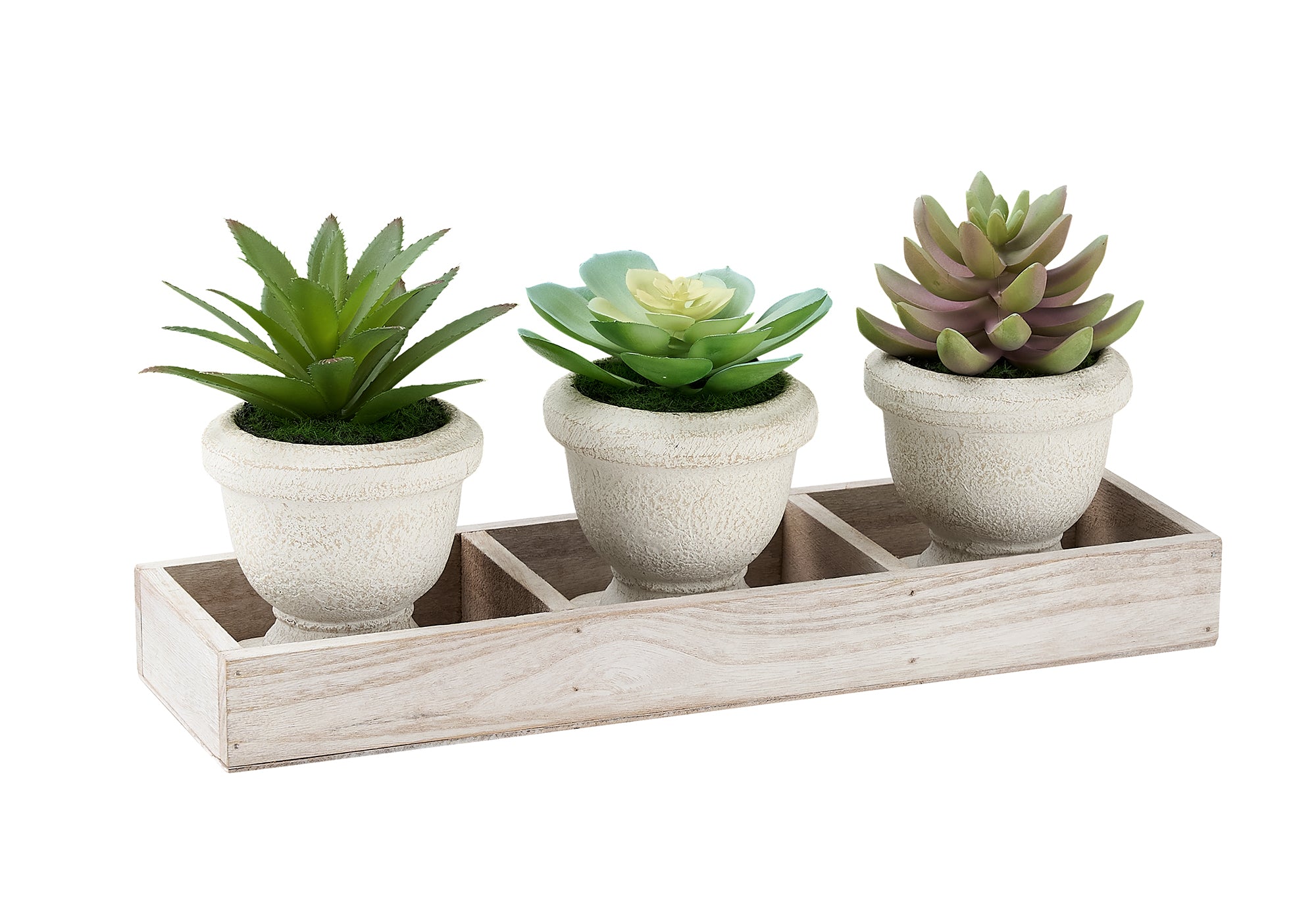 MN-139373    Artificial Plant, Set Of 3, 6" Tall, Succulent, Table, Beige Pots, Contemporary, Modern