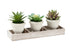 MN-139373    Artificial Plant, Set Of 3, 6" Tall, Succulent, Table, Beige Pots, Contemporary, Modern