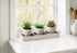 MN-139373    Artificial Plant, Set Of 3, 6" Tall, Succulent, Table, Beige Pots, Contemporary, Modern