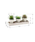 MN-139373    Artificial Plant, Set Of 3, 6" Tall, Succulent, Table, Beige Pots, Contemporary, Modern