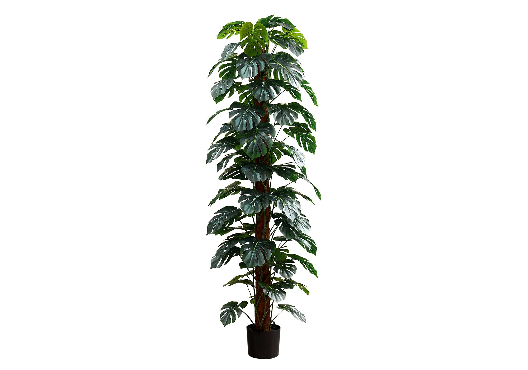 MN-429521    Artificial Plant, 83" Tall, Monstera Tree, Floor, Indoor, Decorative, Green Leaves, Black Pot