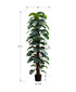 MN-429521    Artificial Plant, 83" Tall, Monstera Tree, Floor, Indoor, Decorative, Green Leaves, Black Pot