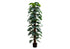 MN-429521    Artificial Plant, 83" Tall, Monstera Tree, Floor, Indoor, Decorative, Green Leaves, Black Pot