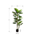 MN-439522    Artificial Plant, 61" Tall, Monstera Tree, Indoor, Potted, Floor, Real Touch, Green Leaves, Black Pot