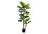 MN-439522    Artificial Plant, 61" Tall, Monstera Tree, Indoor, Potted, Floor, Real Touch, Green Leaves, Black Pot