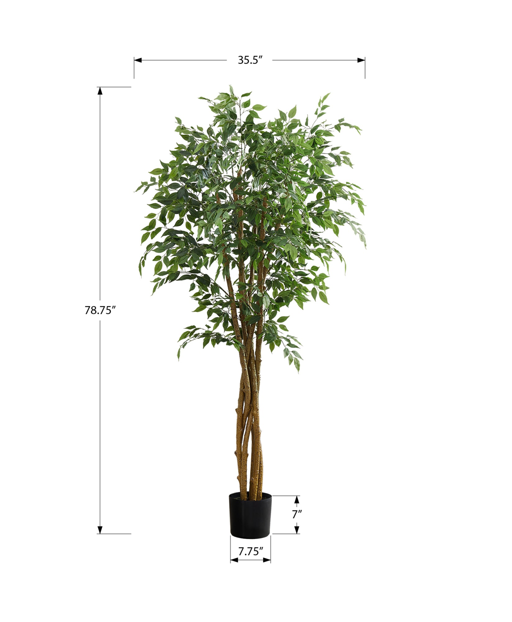 MN-579549    Artificial Plant, 79" Tall, Ficus Tree, Floor, Real Touch, Potted, Green Leaves, Black Pot