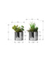 MN-P589550    Artificial Plant, 7" Tall, Succulent, Indoor, Faux, Fake, Table, Greenery, Potted, Set Of 2, Decorative, Green Plants, Chrome Pots