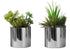 MN-P589550    Artificial Plant, 7" Tall, Succulent, Indoor, Faux, Fake, Table, Greenery, Potted, Set Of 2, Decorative, Green Plants, Chrome Pots