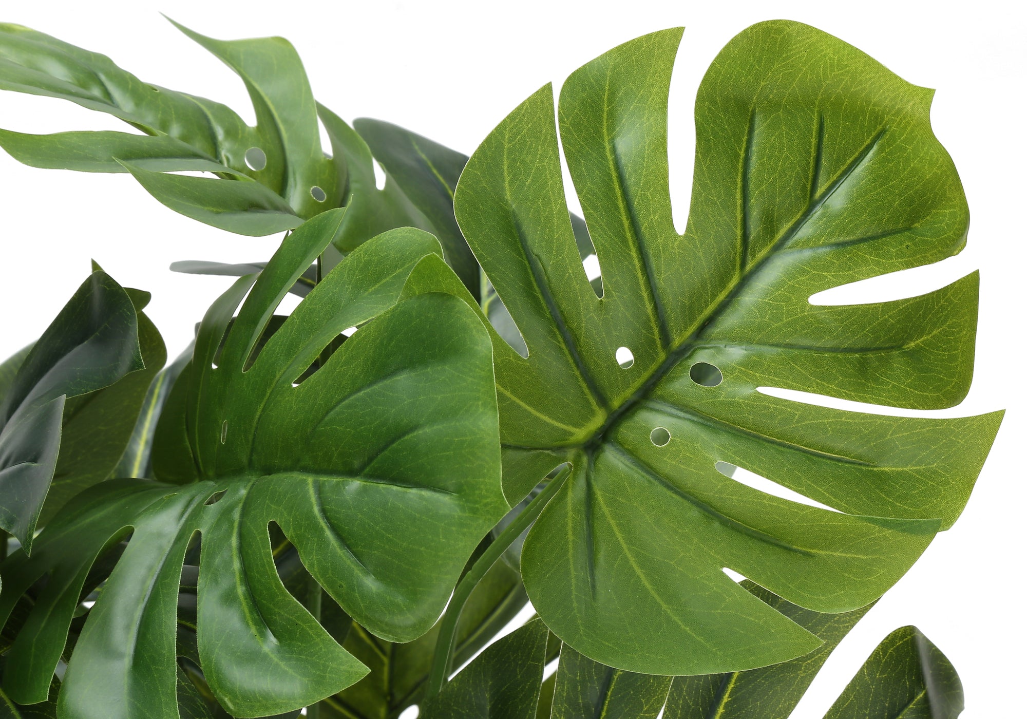 MN-599551    Artificial Plant, 24" Tall, Monstera, Indoor, Faux, Fake, Table, Greenery, Potted, Real Touch, Decorative, Green Leaves, White Pot