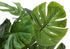 MN-599551    Artificial Plant, 24" Tall, Monstera, Indoor, Faux, Fake, Table, Greenery, Potted, Real Touch, Decorative, Green Leaves, White Pot