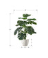 MN-599551    Artificial Plant, 24" Tall, Monstera, Indoor, Faux, Fake, Table, Greenery, Potted, Real Touch, Decorative, Green Leaves, White Pot