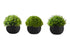 MN-Q599552    Artificial Plant, 5" Tall, Grass, Indoor, Faux, Fake, Table, Greenery, Potted, Set Of 3, Decorative, Green Plants, Black Pots