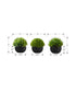 MN-Q599552    Artificial Plant, 5" Tall, Grass, Indoor, Faux, Fake, Table, Greenery, Potted, Set Of 3, Decorative, Green Plants, Black Pots