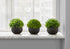 MN-Q599552    Artificial Plant, 5" Tall, Grass, Indoor, Faux, Fake, Table, Greenery, Potted, Set Of 3, Decorative, Green Plants, Black Pots