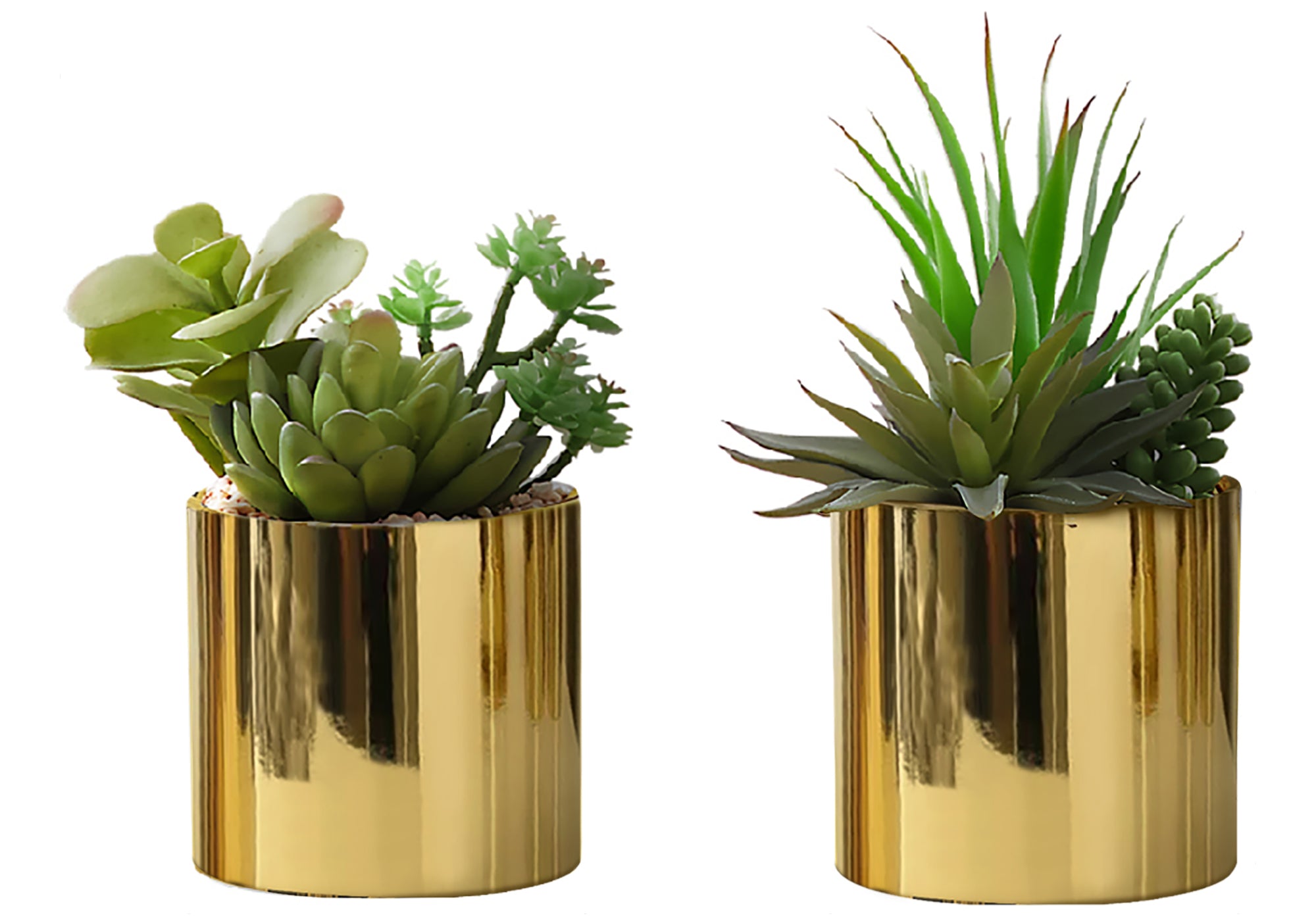 MN-P589553    Artificial Plant, 7" Tall, Succulent, Indoor, Faux, Fake, Table, Greenery, Potted, Set Of 2, Decorative, Green Plants, Glossy Gold Pots