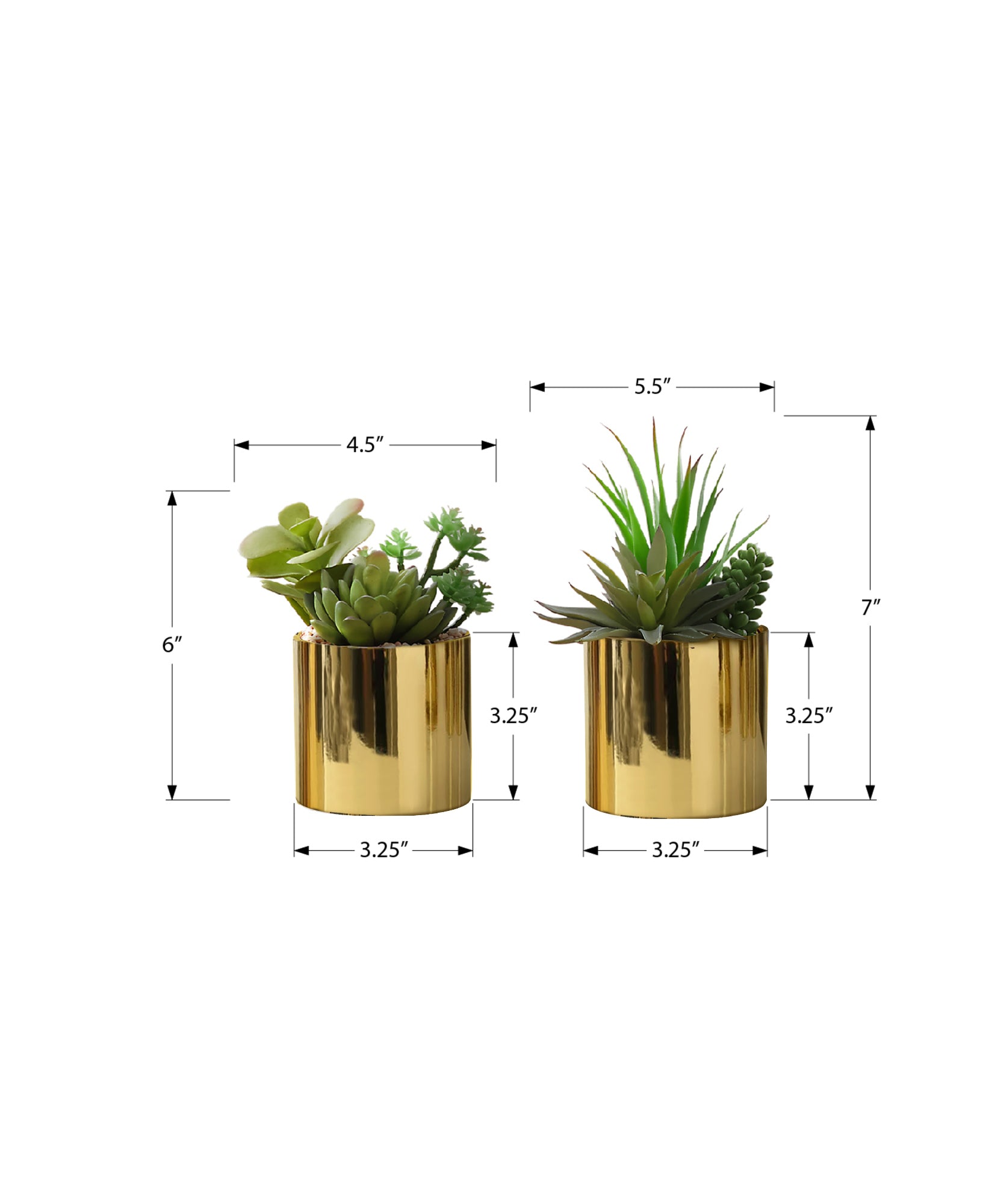 MN-P589553    Artificial Plant, 7" Tall, Succulent, Indoor, Faux, Fake, Table, Greenery, Potted, Set Of 2, Decorative, Green Plants, Glossy Gold Pots