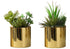 MN-P589553    Artificial Plant, 7" Tall, Succulent, Indoor, Faux, Fake, Table, Greenery, Potted, Set Of 2, Decorative, Green Plants, Glossy Gold Pots