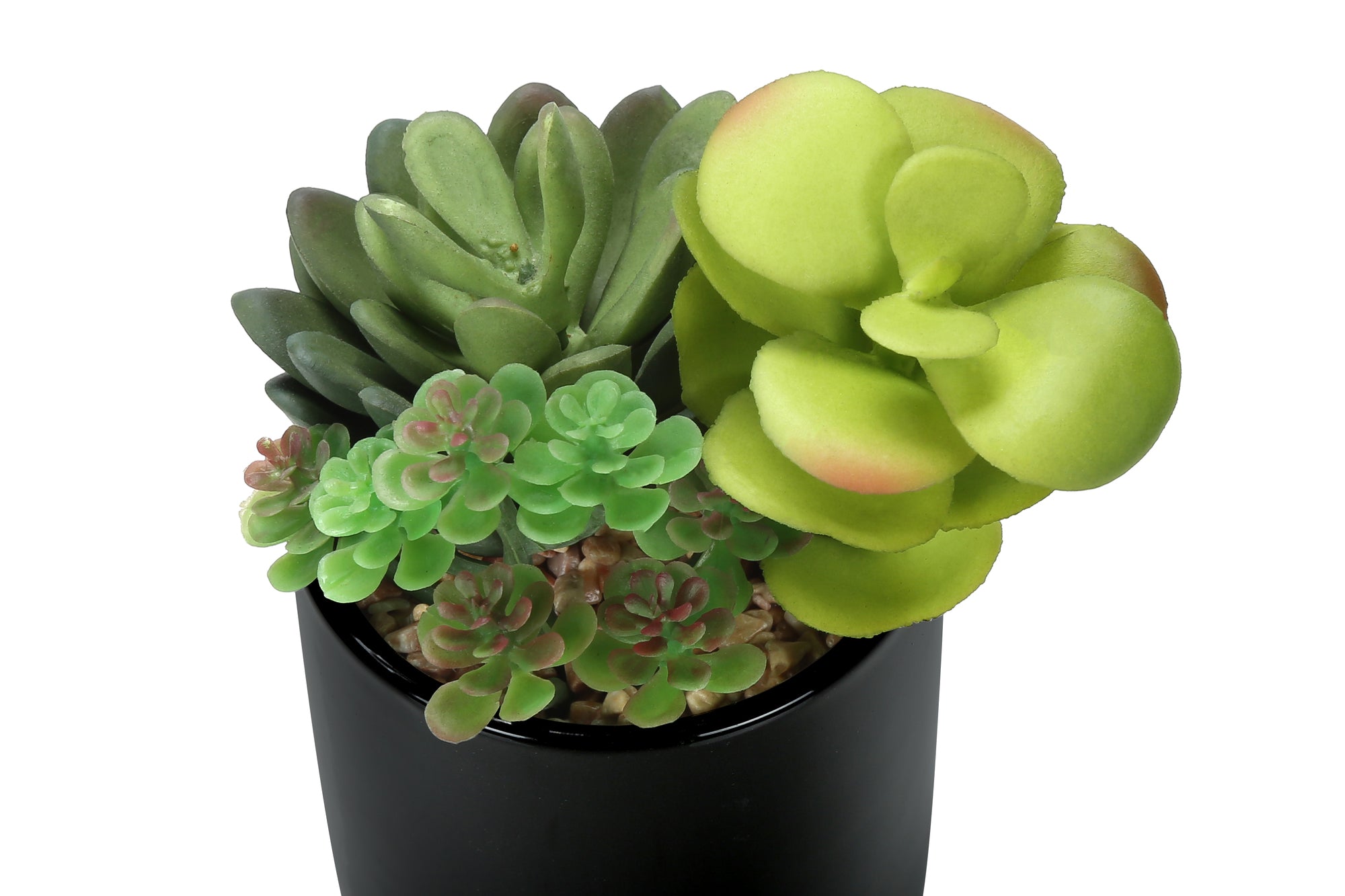 MN-P589554    Artificial Plant, 7" Tall, Succulent, Indoor, Faux, Fake, Table, Greenery, Potted, Set Of 2, Decorative, Green Plants, Glossy Black Pots