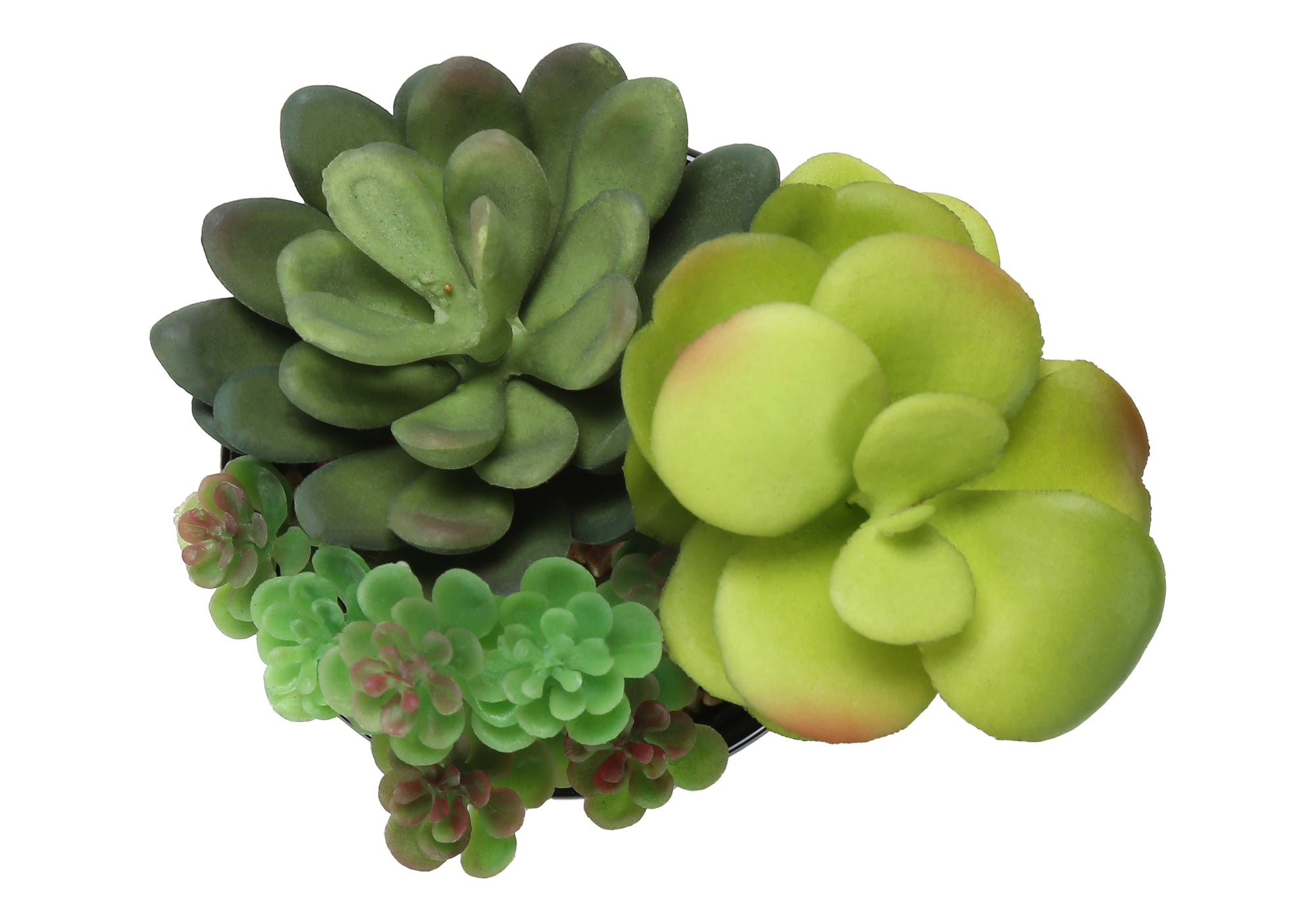 MN-P589554    Artificial Plant, 7" Tall, Succulent, Indoor, Faux, Fake, Table, Greenery, Potted, Set Of 2, Decorative, Green Plants, Glossy Black Pots