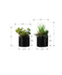 MN-P589554    Artificial Plant, 7" Tall, Succulent, Indoor, Faux, Fake, Table, Greenery, Potted, Set Of 2, Decorative, Green Plants, Glossy Black Pots
