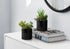 MN-P589554    Artificial Plant, 7" Tall, Succulent, Indoor, Faux, Fake, Table, Greenery, Potted, Set Of 2, Decorative, Green Plants, Glossy Black Pots