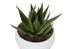 MN-N649555    Artificial Plant, 6" Tall, Succulent, Indoor, Faux, Fake, Table, Greenery, Potted, Set Of 3, Decorative, Green Plants, White Pots