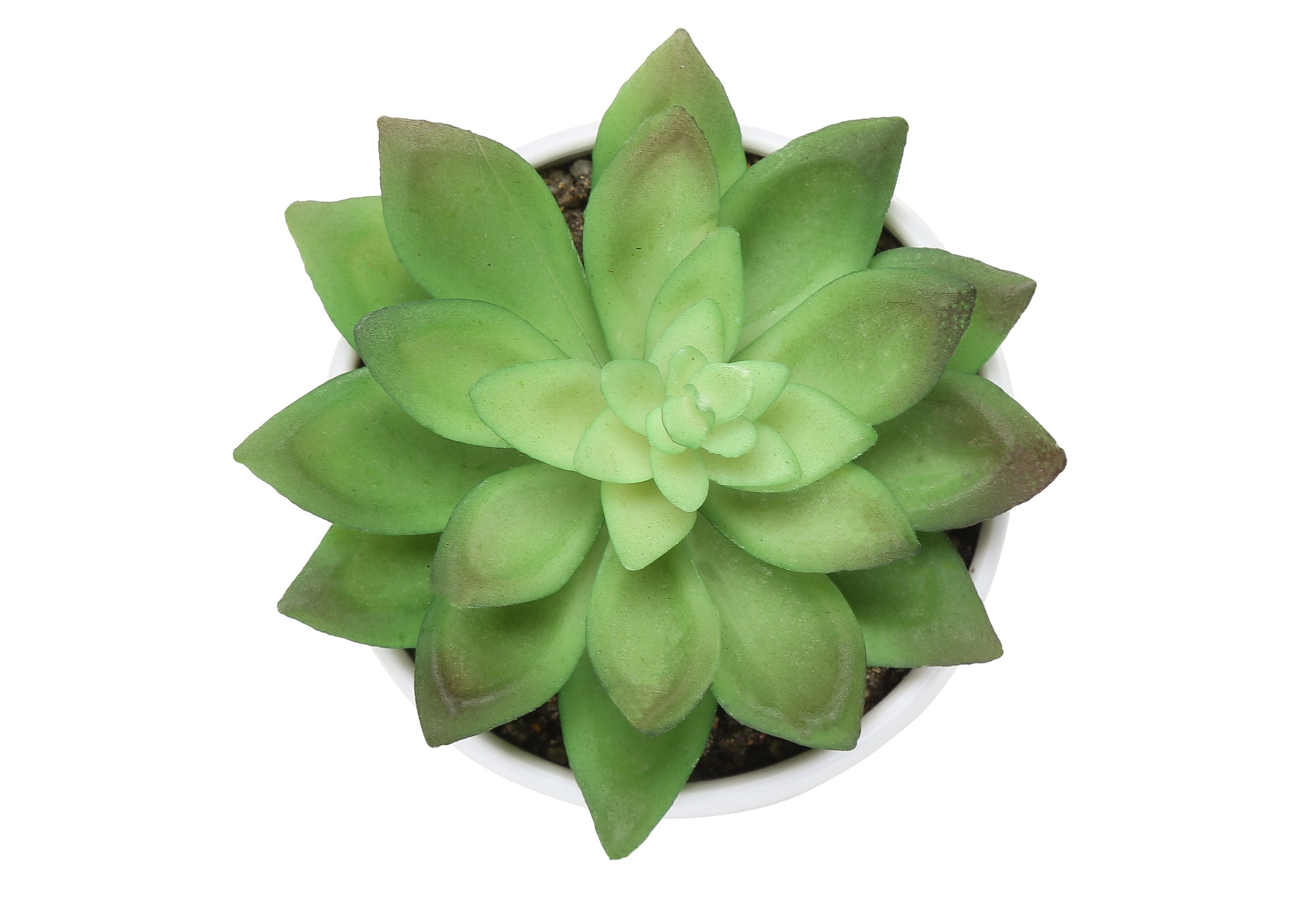 MN-N649555    Artificial Plant, 6" Tall, Succulent, Indoor, Faux, Fake, Table, Greenery, Potted, Set Of 3, Decorative, Green Plants, White Pots