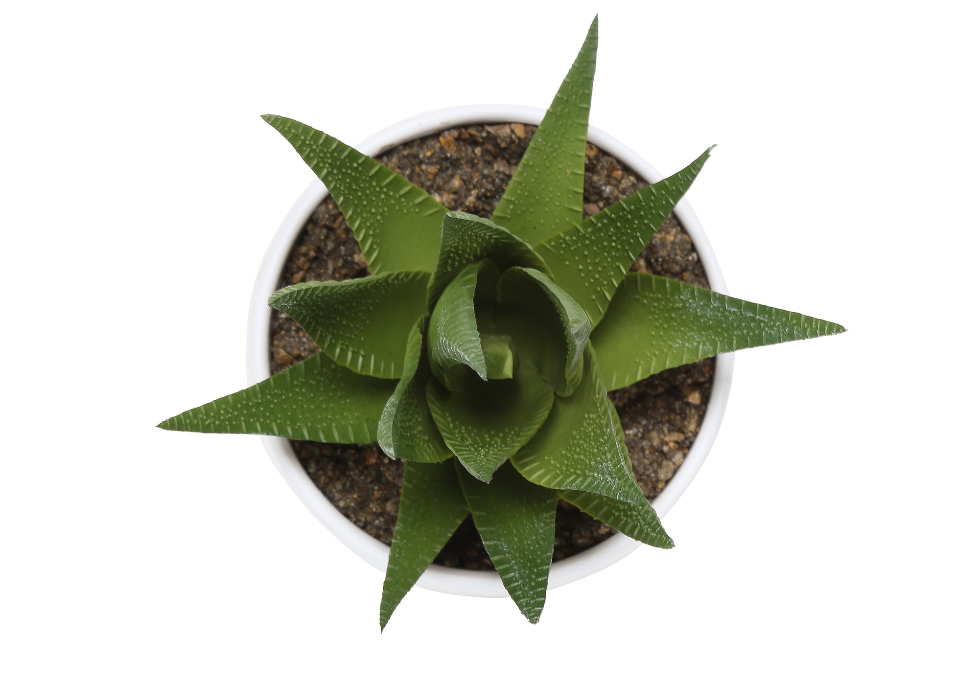 MN-N649555    Artificial Plant, 6" Tall, Succulent, Indoor, Faux, Fake, Table, Greenery, Potted, Set Of 3, Decorative, Green Plants, White Pots