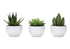 MN-N649555    Artificial Plant, 6" Tall, Succulent, Indoor, Faux, Fake, Table, Greenery, Potted, Set Of 3, Decorative, Green Plants, White Pots