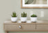 MN-N649555    Artificial Plant, 6" Tall, Succulent, Indoor, Faux, Fake, Table, Greenery, Potted, Set Of 3, Decorative, Green Plants, White Pots