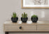 MN-649556    Artificial Plant, 6" Tall, Succulent, Indoor, Faux, Fake, Table, Greenery, Potted, Set Of 3, Decorative, Green Plants, Black Pots