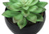 MN-649556    Artificial Plant, 6" Tall, Succulent, Indoor, Faux, Fake, Table, Greenery, Potted, Set Of 3, Decorative, Green Plants, Black Pots