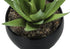 MN-649556    Artificial Plant, 6" Tall, Succulent, Indoor, Faux, Fake, Table, Greenery, Potted, Set Of 3, Decorative, Green Plants, Black Pots